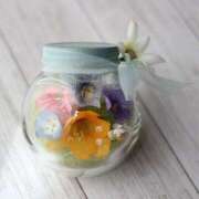 ヒメ日記 2025/03/27 00:55 投稿 ゆりこ 横浜おかあさん