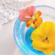 ヒメ日記 2025/04/03 13:52 投稿 ゆりこ 横浜おかあさん