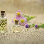 ヒメ日記 2025/06/04 14:45 投稿 ゆりこ 横浜おかあさん