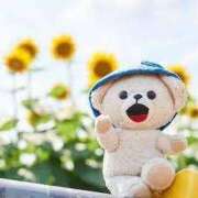 ヒメ日記 2025/07/18 23:35 投稿 ゆりこ 横浜おかあさん