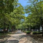 ヒメ日記 2025/07/20 17:35 投稿 ゆりこ 横浜おかあさん