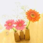 ヒメ日記 2025/09/08 09:55 投稿 ゆりこ 横浜おかあさん