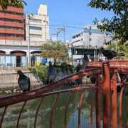 ヒメ日記 2025/09/10 13:35 投稿 ゆりこ 横浜おかあさん