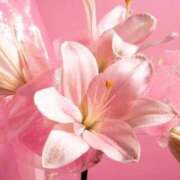 ヒメ日記 2025/10/09 21:43 投稿 ゆりこ 横浜おかあさん