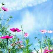 ヒメ日記 2025/11/02 12:06 投稿 ゆりこ 横浜おかあさん