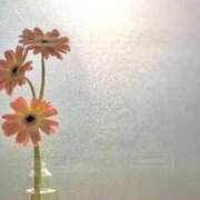 ヒメ日記 2025/11/02 17:21 投稿 ゆりこ 横浜おかあさん