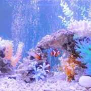 ヒメ日記 2025/11/18 07:37 投稿 ゆりこ 横浜おかあさん