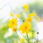 ヒメ日記 2025/12/04 10:15 投稿 ゆりこ 横浜おかあさん