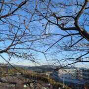 ヒメ日記 2025/12/11 17:05 投稿 ゆりこ 横浜おかあさん