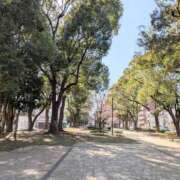 ヒメ日記 2026/03/05 16:40 投稿 ゆりこ 横浜おかあさん