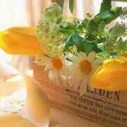 ヒメ日記 2026/03/28 06:35 投稿 ゆりこ 横浜おかあさん