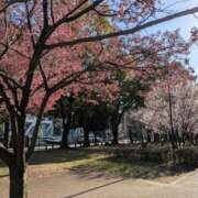 ヒメ日記 2026/03/28 10:25 投稿 ゆりこ 横浜おかあさん