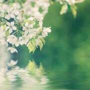 ヒメ日記 2026/03/29 20:15 投稿 ゆりこ 横浜おかあさん