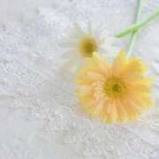 ヒメ日記 2026/04/26 08:35 投稿 ゆりこ 横浜おかあさん