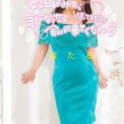 ヒメ日記 2025/05/03 08:45 投稿 ほたる 新横浜人妻ポルノ