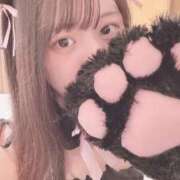 ヒメ日記 2025/04/17 00:57 投稿 くみ 黒い金魚（札幌）