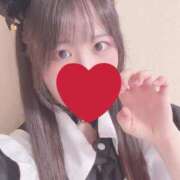 ヒメ日記 2025/04/22 12:07 投稿 くみ 黒い金魚（札幌）