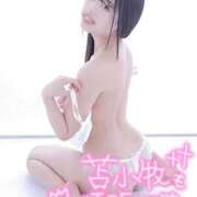 ヒメ日記 2025/09/04 18:11 投稿 くみ 黒い金魚（札幌）