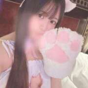 ヒメ日記 2025/09/05 11:50 投稿 くみ 黒い金魚（札幌）