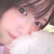 ヒメ日記 2025/09/19 12:20 投稿 くみ 黒い金魚（札幌）