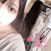 ヒメ日記 2025/09/20 21:20 投稿 くみ 黒い金魚（札幌）