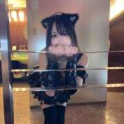 ヒメ日記 2026/03/07 01:00 投稿 くみ 黒い金魚（札幌）