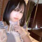 ヒメ日記 2026/10/12 14:40 投稿 くみ 黒い金魚（札幌）