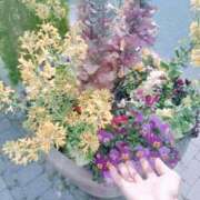 ヒメ日記 2025/05/08 07:08 投稿 心桜(こころ) PLUS十三店