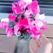 ヒメ日記 2025/05/09 07:18 投稿 心桜(こころ) PLUS十三店