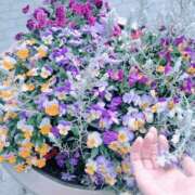 ヒメ日記 2025/05/14 07:16 投稿 心桜(こころ) PLUS十三店