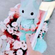 ヒメ日記 2025/05/15 07:18 投稿 心桜(こころ) PLUS十三店