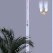 ヒメ日記 2025/05/29 21:58 投稿 心桜(こころ) PLUS十三店