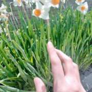 ヒメ日記 2025/05/31 07:18 投稿 心桜(こころ) PLUS十三店