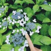 ヒメ日記 2025/06/10 07:08 投稿 心桜(こころ) PLUS十三店