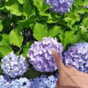 ヒメ日記 2025/06/14 07:08 投稿 心桜(こころ) PLUS十三店