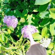 ヒメ日記 2025/06/18 07:08 投稿 心桜(こころ) PLUS十三店