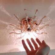 ヒメ日記 2025/06/21 07:08 投稿 心桜(こころ) PLUS十三店