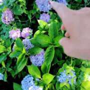 ヒメ日記 2025/06/26 07:18 投稿 心桜(こころ) PLUS十三店