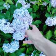 ヒメ日記 2025/06/27 07:12 投稿 心桜(こころ) PLUS十三店