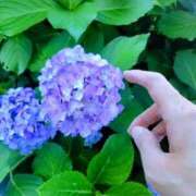 ヒメ日記 2025/06/30 07:18 投稿 心桜(こころ) PLUS十三店