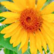 ヒメ日記 2025/07/10 23:58 投稿 心桜(こころ) PLUS十三店