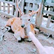 ヒメ日記 2025/07/12 07:08 投稿 心桜(こころ) PLUS十三店