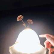 ヒメ日記 2025/07/19 07:21 投稿 心桜(こころ) PLUS十三店