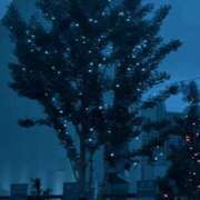 ヒメ日記 2025/07/31 00:48 投稿 心桜(こころ) PLUS十三店