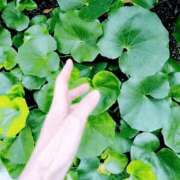 ヒメ日記 2025/07/31 07:18 投稿 心桜(こころ) PLUS十三店