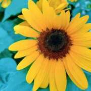 ヒメ日記 2025/08/01 07:08 投稿 心桜(こころ) PLUS十三店