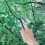 ヒメ日記 2025/08/04 07:18 投稿 心桜(こころ) PLUS十三店