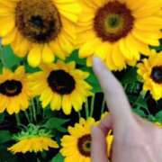 ヒメ日記 2025/08/07 07:08 投稿 心桜(こころ) PLUS十三店