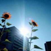 ヒメ日記 2025/08/14 07:18 投稿 心桜(こころ) PLUS十三店