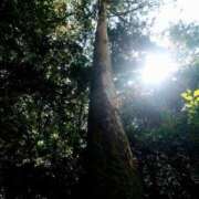 ヒメ日記 2025/08/15 07:08 投稿 心桜(こころ) PLUS十三店